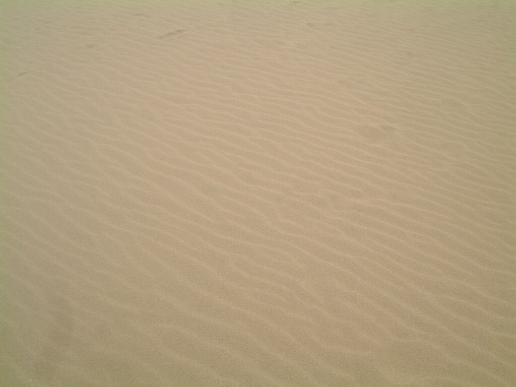 風紋