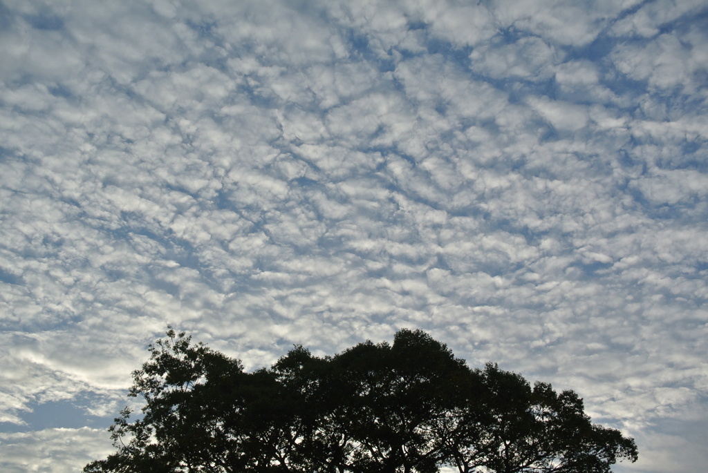 夕雲