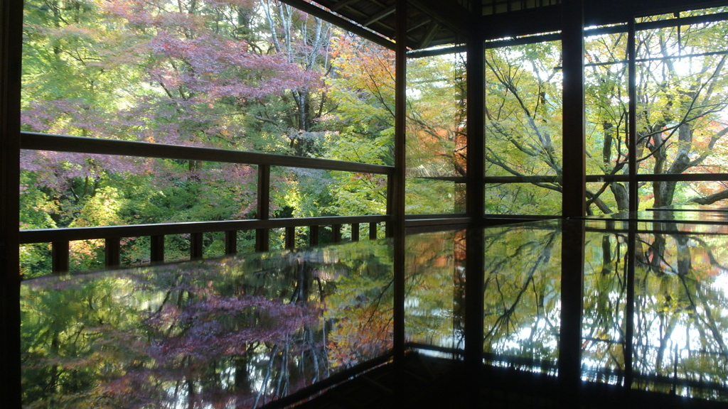 瑠璃光院