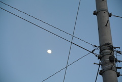 電線と月