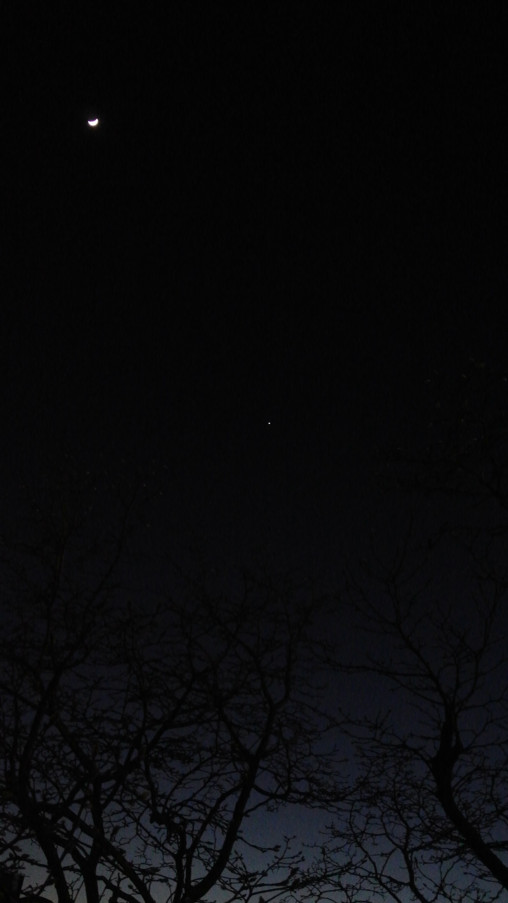宵の明星