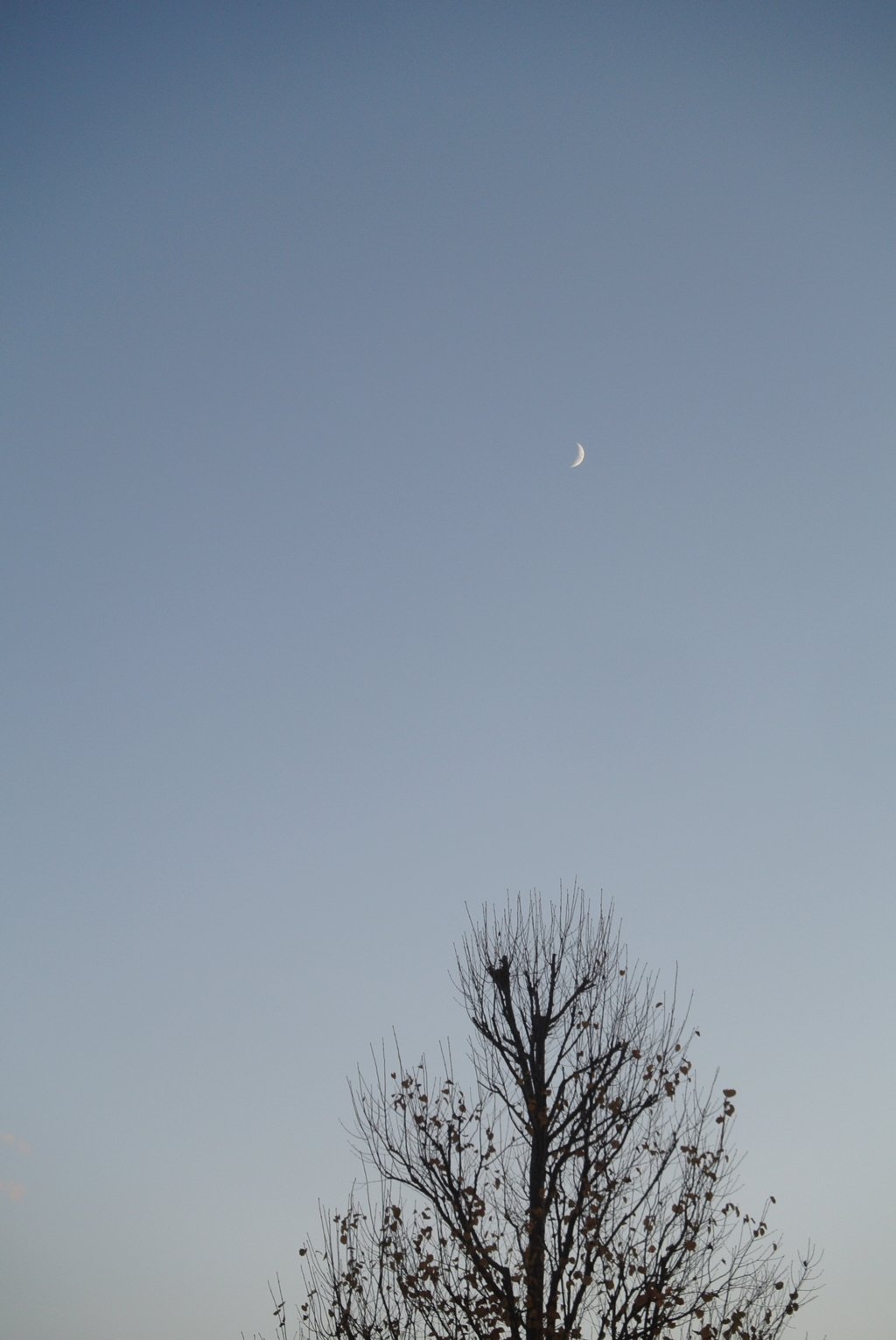三日月
