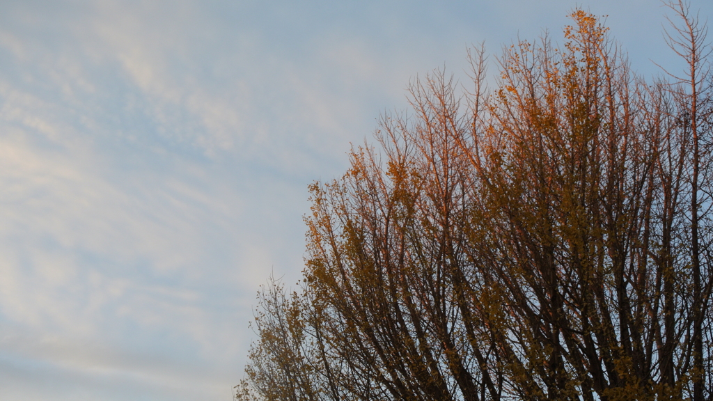 あかね空Ⅱ