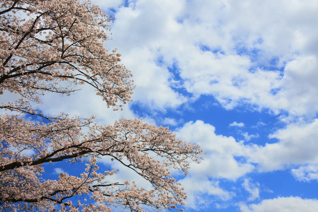 春空