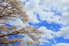 春空