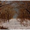 雪解け