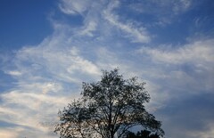 夕雲の風景