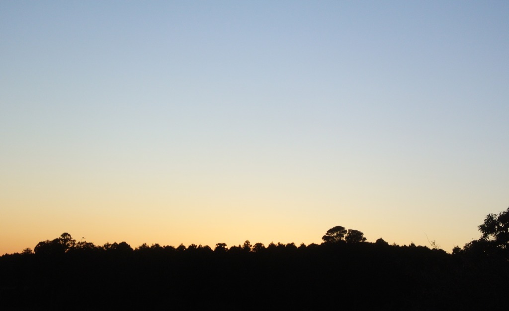 しあわせな一日