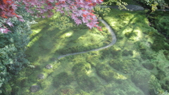 秋の庭