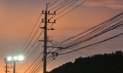 電線の影