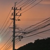 電線の影