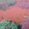紅葉幻想Ⅵ