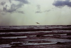 水平線の向こうに