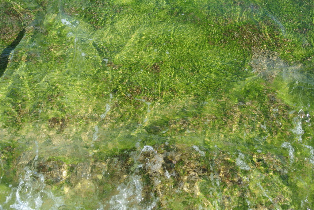 水の情景Ⅰ