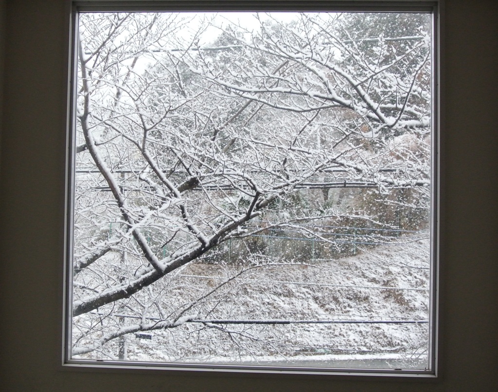 雪の窓