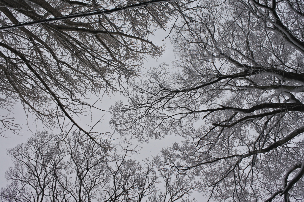 雪の空