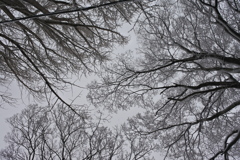 雪空