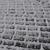 雪の歩道