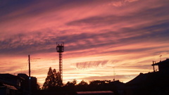 朱空