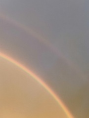 IMG_1608