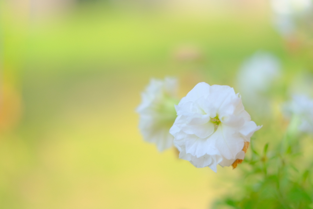 A62D010A-0BFB-498C-BA44-2CCDC09E1B55-128