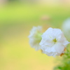 A62D010A-0BFB-498C-BA44-2CCDC09E1B55-128