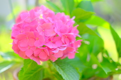 CC54DD94-0F2B-432A-AB96-6FD06CF5C7CD-128