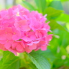 CC54DD94-0F2B-432A-AB96-6FD06CF5C7CD-128