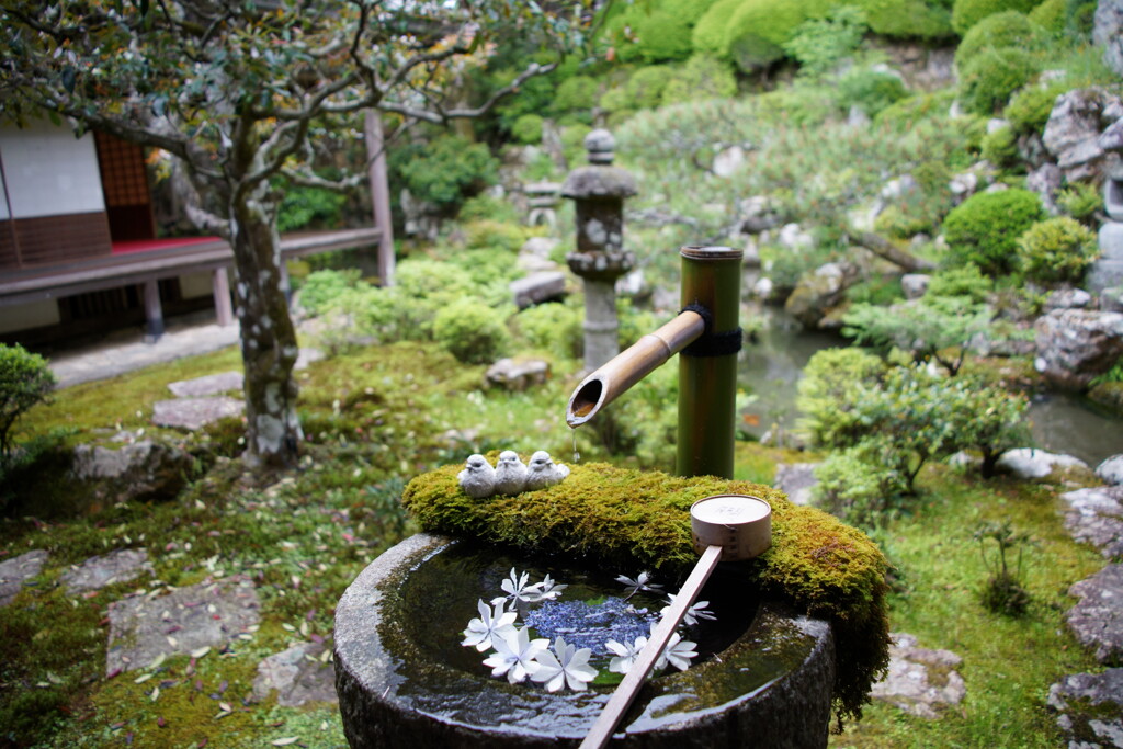 花手水