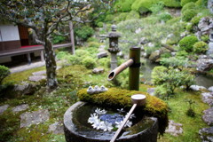 花手水