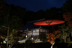 普賢寺ライトアップ