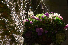 DSC01077k