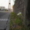 IMGP9486