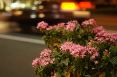 DSC01722