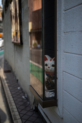 こっそり