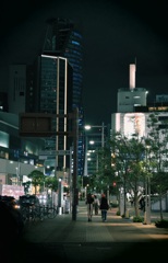 夜散歩