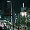 夜散歩