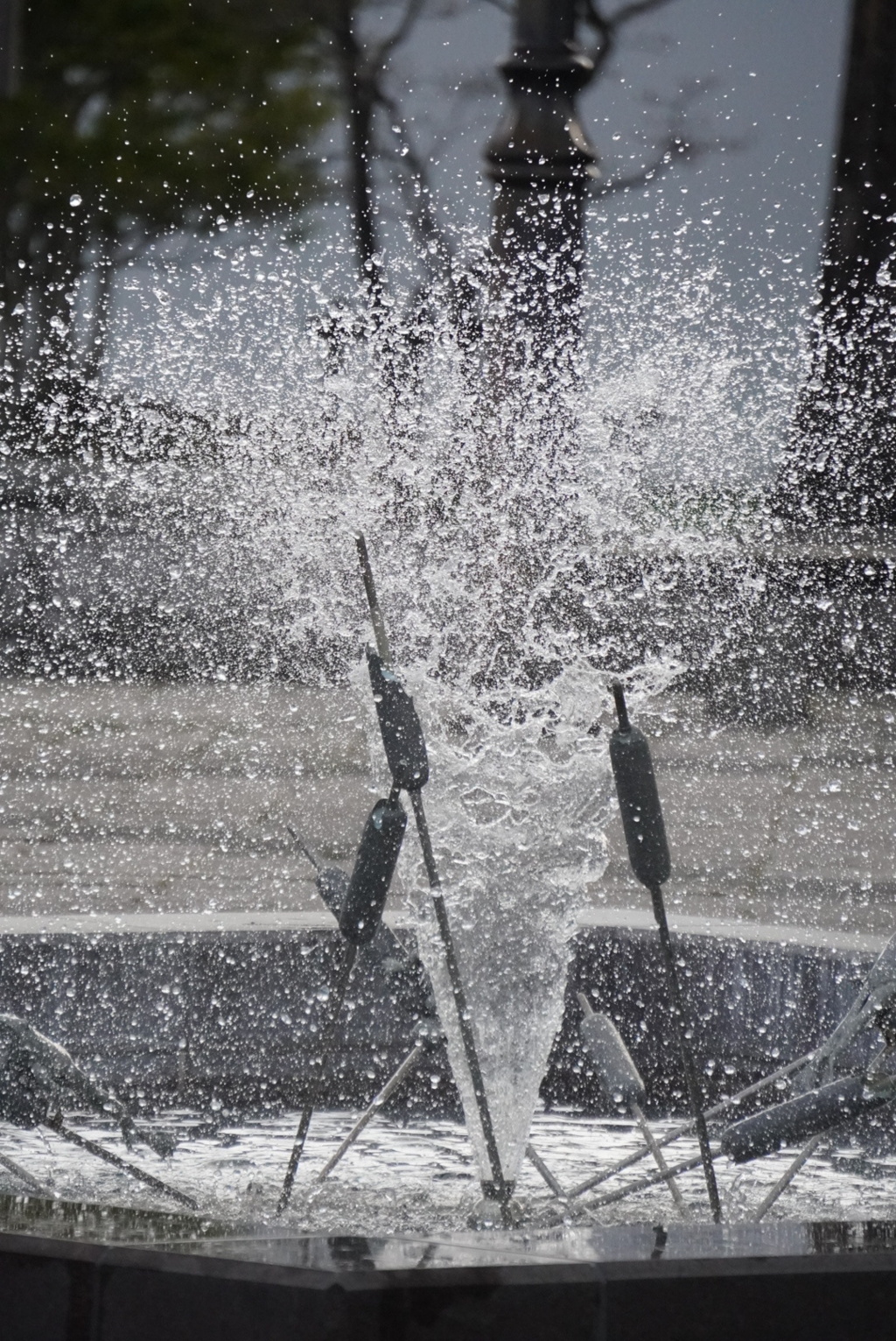 水飛沫が撮れて嬉しいの図