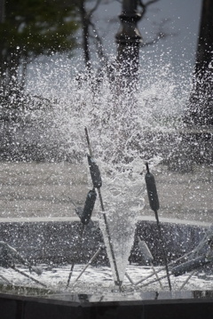 水飛沫が撮れて嬉しいの図