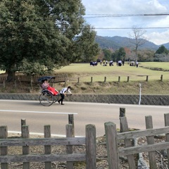 修学旅行と人力車