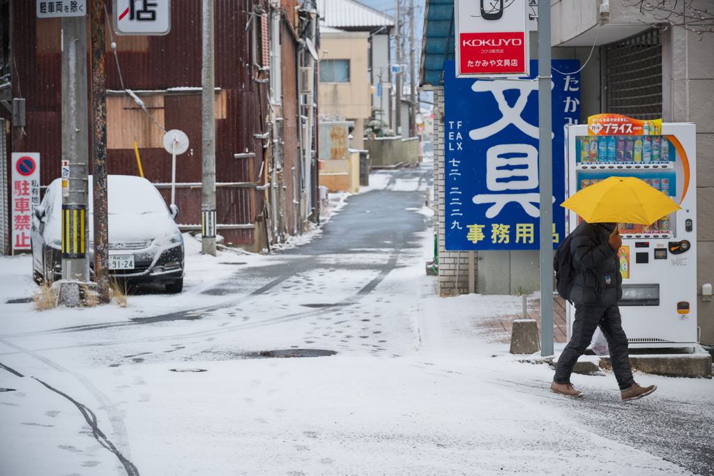 雪降る朝に by castor (ID:13374571) - 写真共有サイト:PHOTOHITO