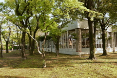 図書館にて