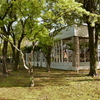 図書館にて