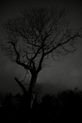 闇夜