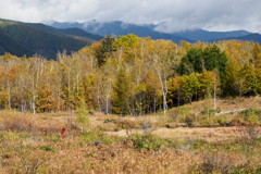 高原の秋