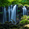 夏の森のひととき