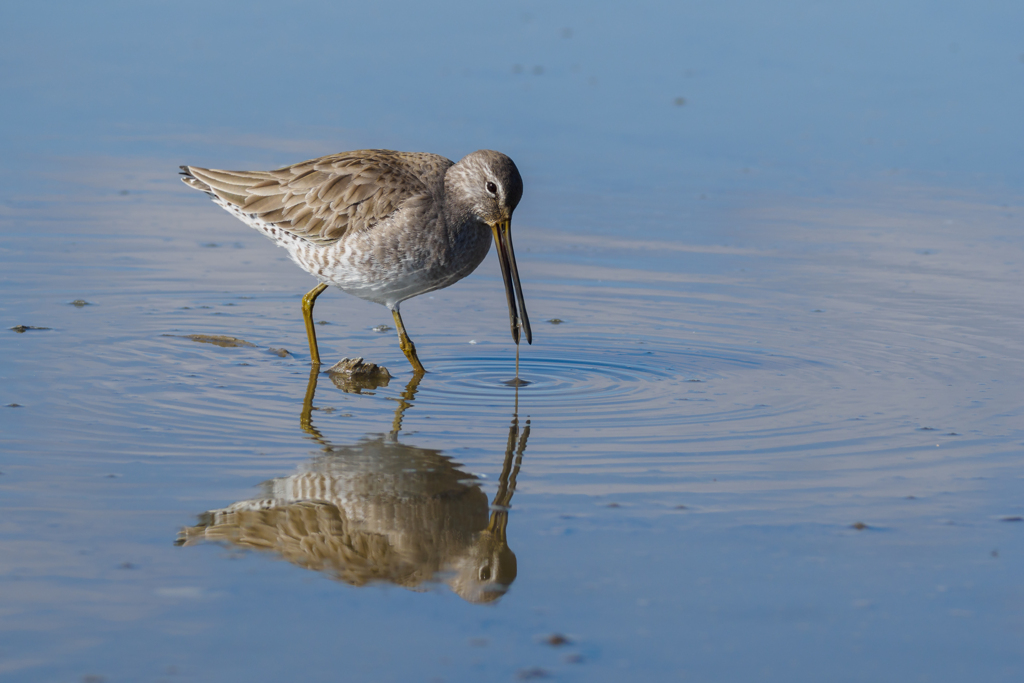 波紋の中に佇む Ⅱ
