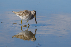 波紋の中に佇む Ⅱ