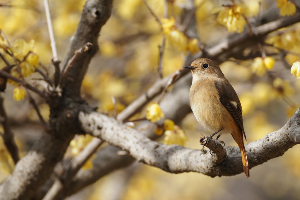 ひだまりの中で