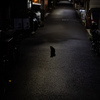 クロネコ